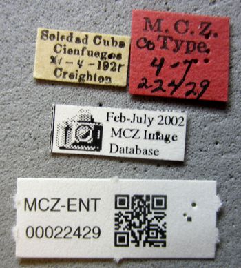 Media type: image;   Entomology 22429 Aspect: labels